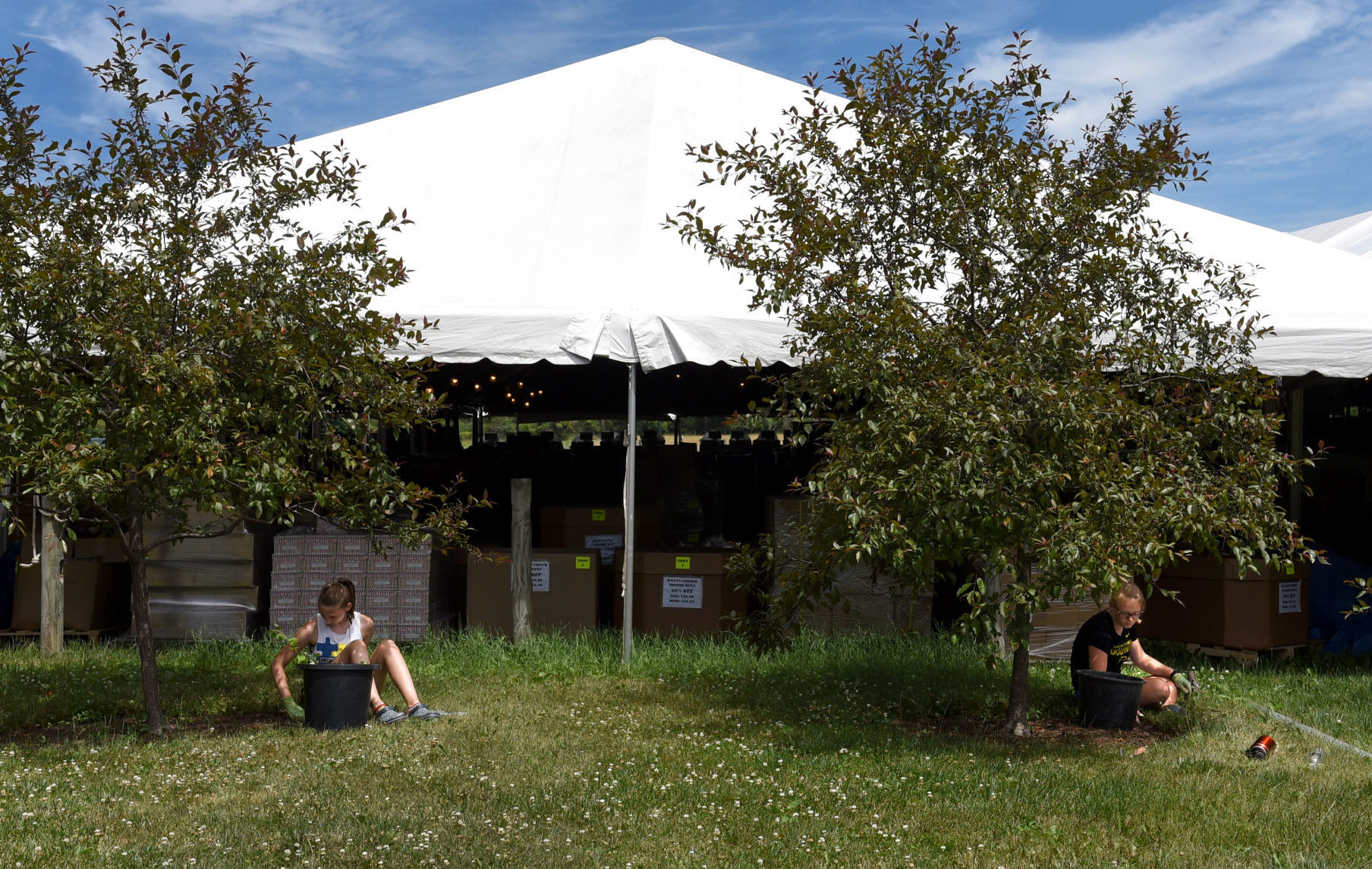 Barn Sale 12